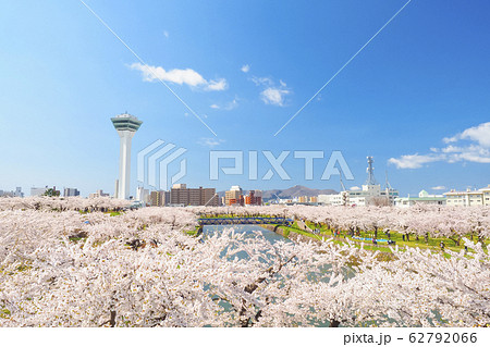 【函館】五稜郭公園 満開の桜 62792066