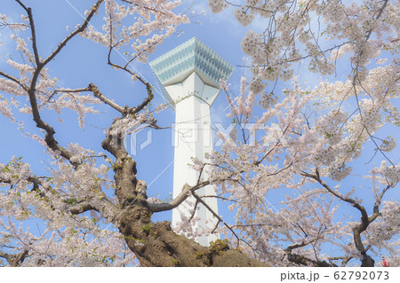 【函館】五稜郭公園 満開の桜 【函館】五稜郭公園 満開の桜 62792073