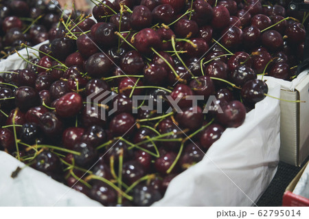 メルボルン 市場 フード 62795014