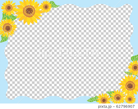 夏天向日葵框架 62796907