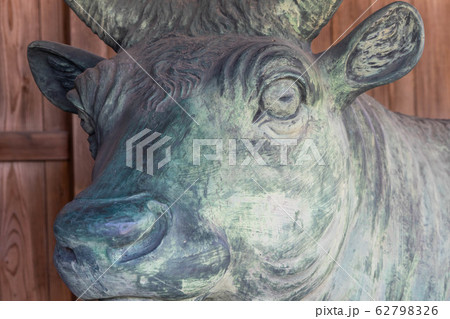 新善光寺4624 62798326