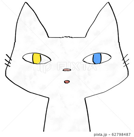 黄色と水色のオッドアイのジト目の白猫のイラスト素材