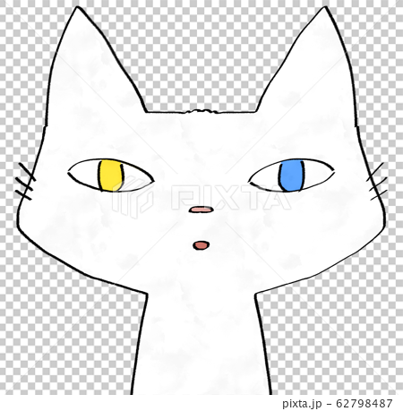 黃色和淺藍色奇特的白貓 插圖素材 圖庫