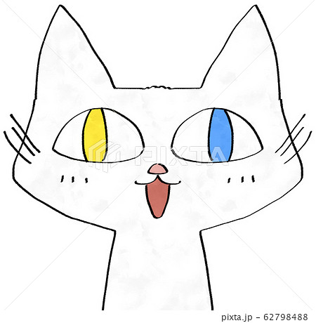 嬉しそうに目を見開いている黄色と水色のオッドアイの白猫のイラスト素材