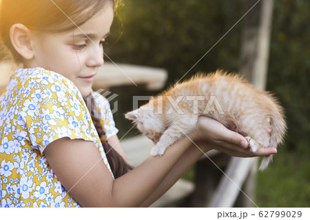 Little girl holding kitten on blurred background 62799029