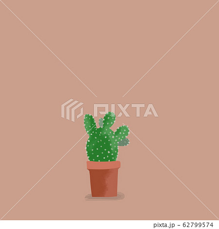 Cactus カクタス サボテンのイラスト素材