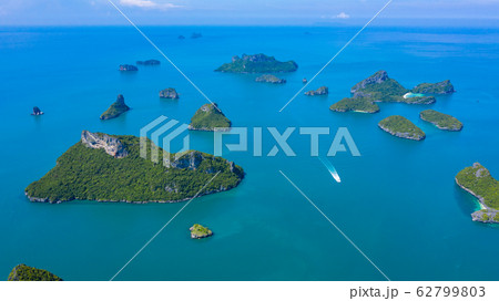 Ecosystem and healthy environment concepts and 62799803