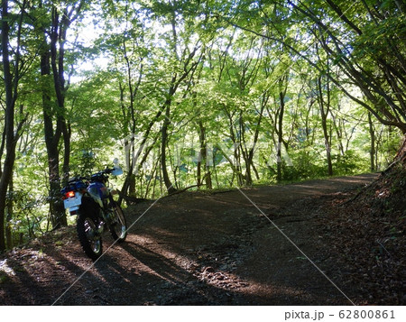 生石山の林道途中、緑の綺麗さに見惚れる。バイクは鈴木ジェベル200 生石山の林道途中、緑の綺麗さに見惚れる。バイクは鈴木ジェベル200 62800861