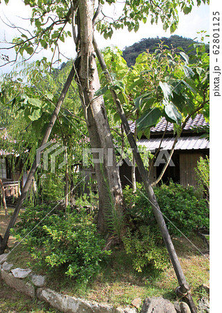 朝来市旧生野鉱山職員宿舎 朝来市旧生野鉱山職員宿舎 62801125