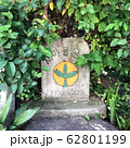 緑 年頭 黄色 62801199