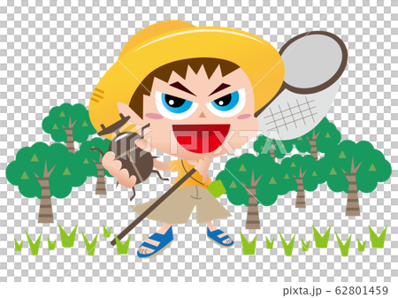 Capture of insects 62801459