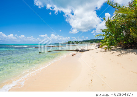 Amazing Caribbean beach in Samana peninsula Amazing Caribbean beach in Samana peninsula 62804877