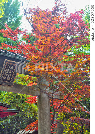 太田神社・白髭神社 太田神社・白髭神社 62807659