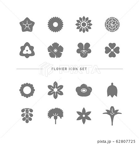 FLOWER ICON SET 62807725