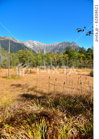上高地 自然散策路の風景 上高地 自然散策路の風景 62808621