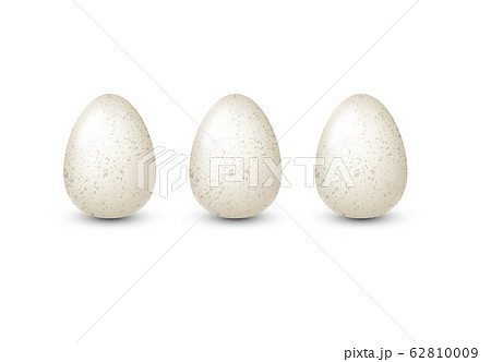 White realistic quail eggs with speckles. Vector illustration. White realistic quail eggs with speckles. Vector illustration. 62810009