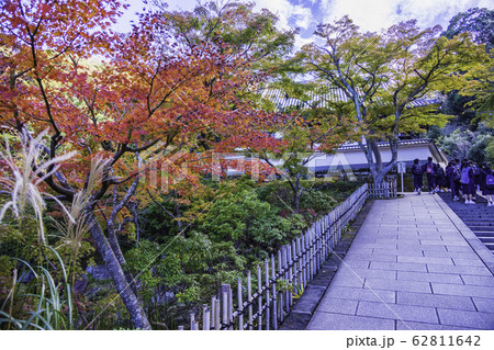 (神奈川県)秋の円覚寺 境内の紅葉 (神奈川県)秋の円覚寺 境内の紅葉 62811642