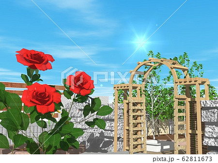 庭 エクステリア バラの花 庭 エクステリア バラの花 62811673