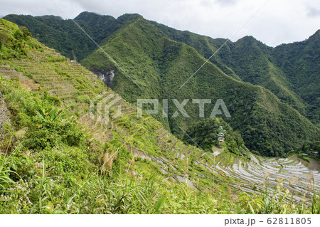 Batad rice terraces 62811805
