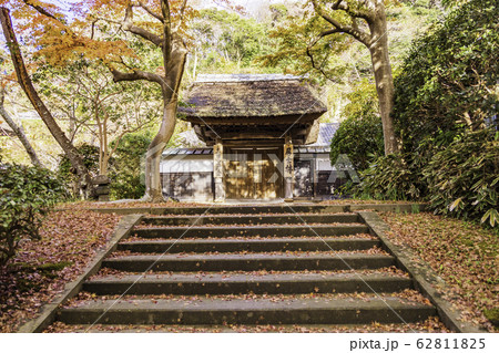 （神奈川県）秋の円覚寺　紅葉 62811825