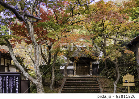 （神奈川県）秋の円覚寺　紅葉 62811826