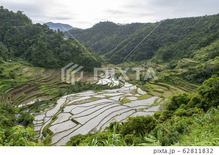 Banaue rice terraces 62811832