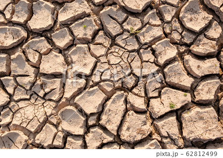 Dry soil results from lack of water.Global warming 62812499