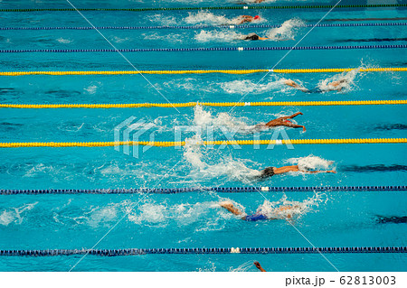 Athlete swimming competition in swimming pool Athlete swimming competition in swimming pool 62813003