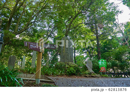 東京八王子市 高尾山1号路(表参道コース)つづらおりの道標 東京八王子市 高尾山1号路(表参道コース)つづらおりの道標 62813876