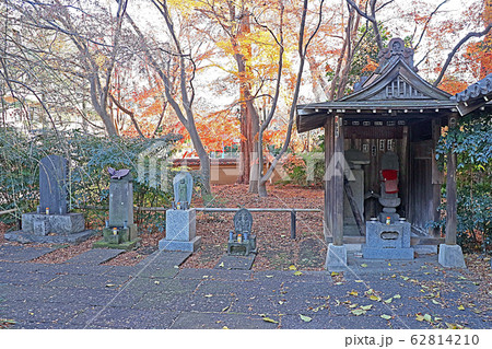観泉寺 観泉寺 62814210