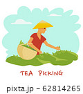 A man in a hat with a basket in his hands is harvesting a tea leaf. Vector illustration 62814265