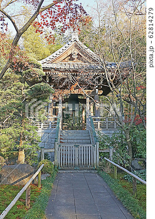 観泉寺 観泉寺 62814279
