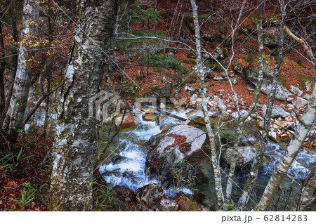 【山梨県】紅葉の本谷川渓谷 【山梨県】紅葉の本谷川渓谷 62814283
