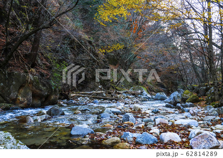 【山梨県】紅葉の本谷川渓谷 【山梨県】紅葉の本谷川渓谷 62814289