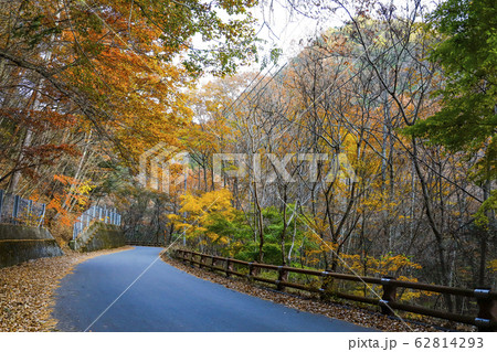 【山梨県】紅葉の本谷川渓谷 62814293