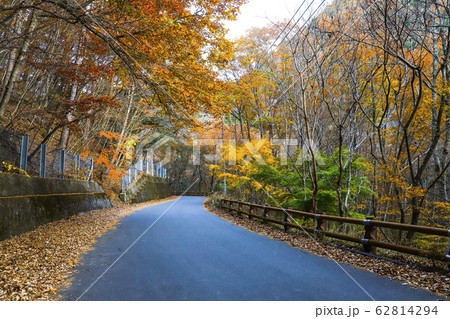 【山梨県】紅葉の本谷川渓谷 【山梨県】紅葉の本谷川渓谷 62814294