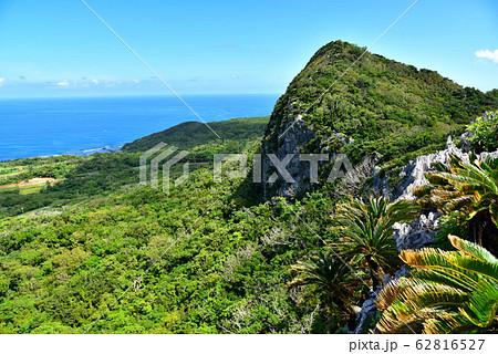 沖縄 大石林山の風景 沖縄 大石林山の風景 62816527