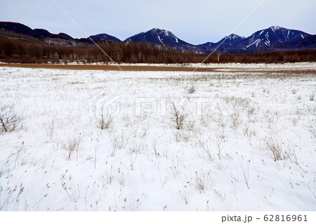 冬の小田代湿原08 冬の小田代湿原08 62816961