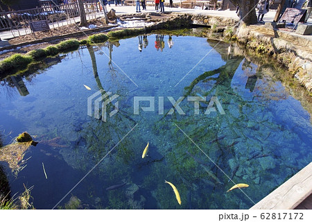 冬の忍野八海の湧池（山梨県） 62817172