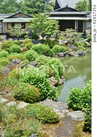 両足院の庭園 62817353