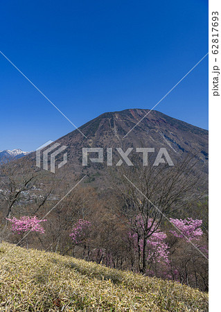 アカヤシオと男体山 62817693
