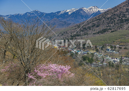アカヤシオと日光白根山 62817695