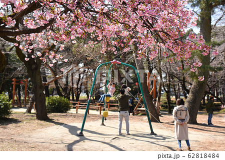 河津桜の下の家族 62818484