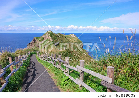北海道　積丹半島　神威岬 62819008
