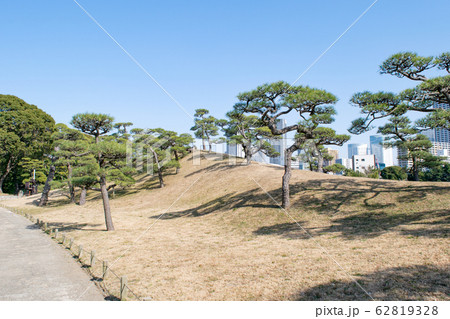 東京都　浜離宮恩賜庭園　樋の口山(ひのくちやま) 62819328