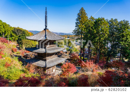 滋賀県　湖南三山の一つ　紅葉の美しい常楽寺の三重塔 62820102