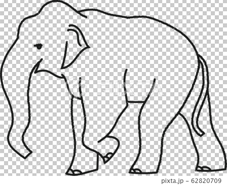 アジアゾウ＿線のみ 62820709