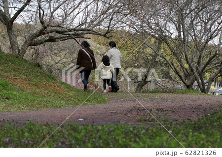 四季の散歩 春 梅の里公園 四季の散歩 春 梅の里公園 62821326
