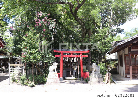 大阪堺市・櫻井神社 大阪堺市・櫻井神社 62822081
