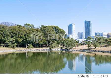 東京都　浜離宮恩賜庭園　横堀 62823181